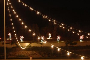 gallery_Capanna_Con_Lampadina_Grande  