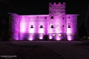 gallery_Castello_Di_Tavolese-3                    