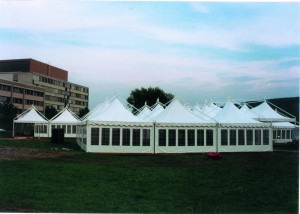 gallery_Gazebi_12X12_2                    