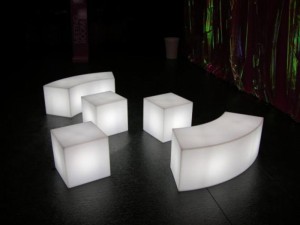 gallery_Snake_E_Cubi                    